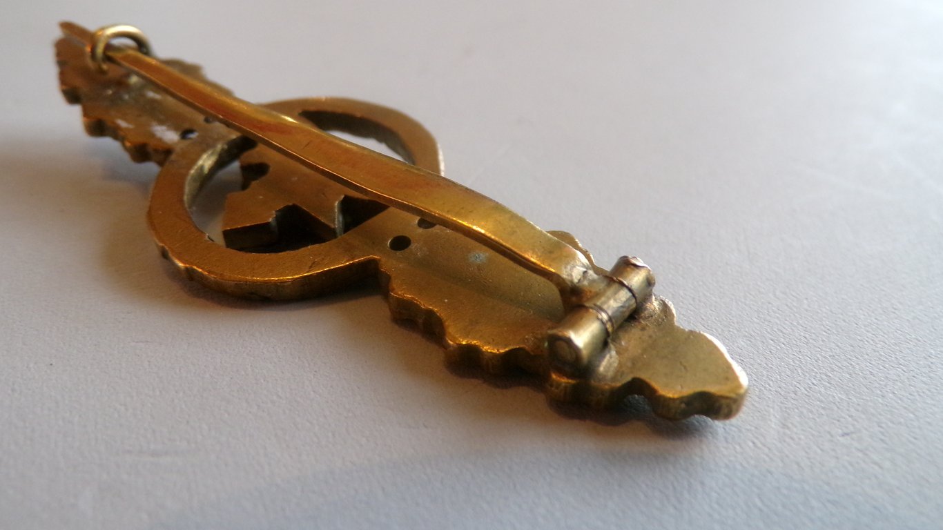 Frontflugspange fur Transportflieger in Gold