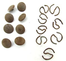 8x Wehrmacht 18 mm Tropical Uniform Buttons