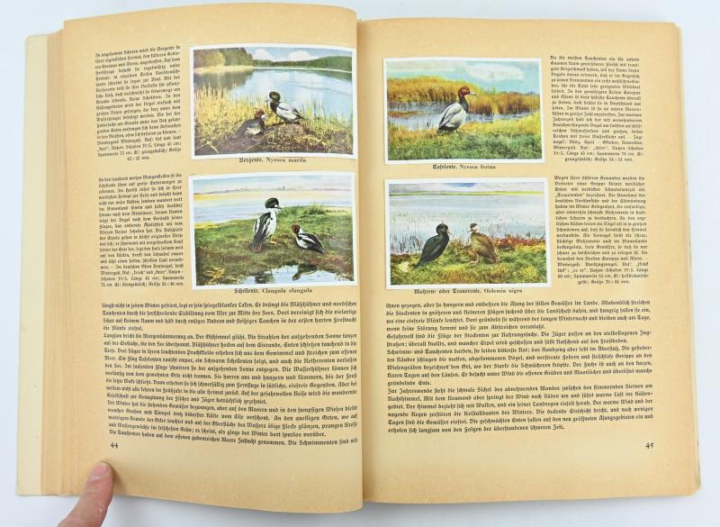 German Third Reich CigaretAlbum 'Aus Deutschlands Vogelwelt'
