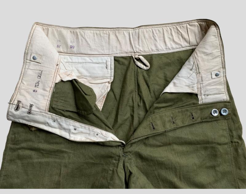 German WWII Tropical Shorts