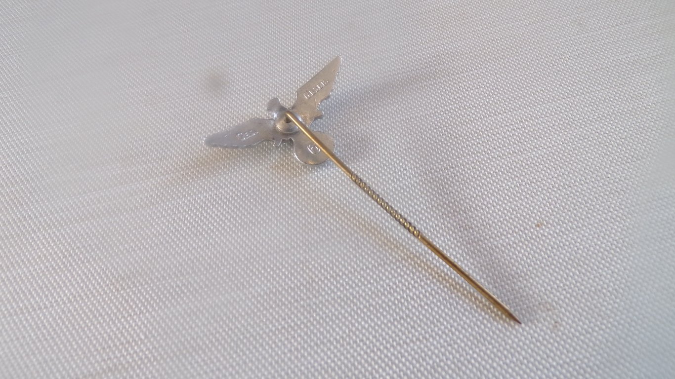 25 MM NSRKB veterans Stickpin