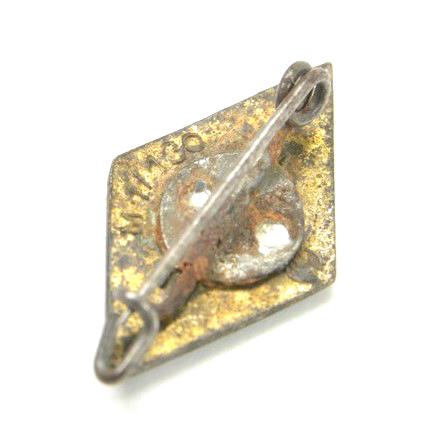 German NSDSTB Member Badge
