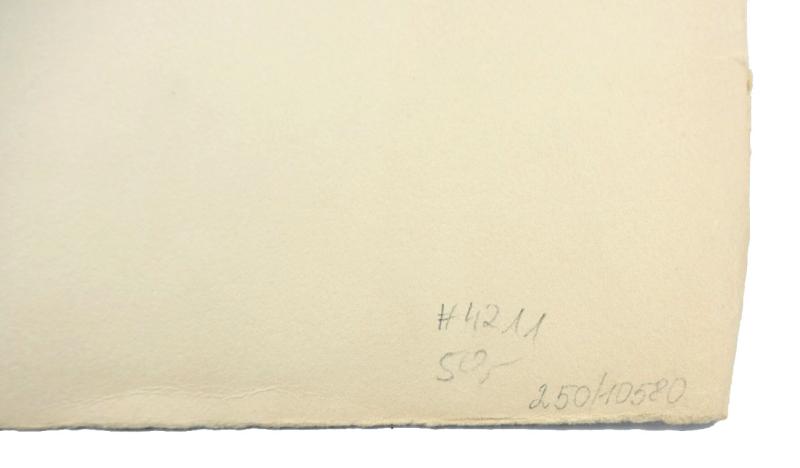 German Third Reich 'Hans von Tschammer Osten' Lithograph by K.J. Böhringer