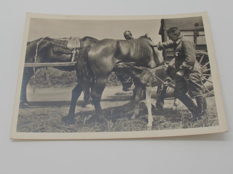 Postcard : Unsere Waffen-SS