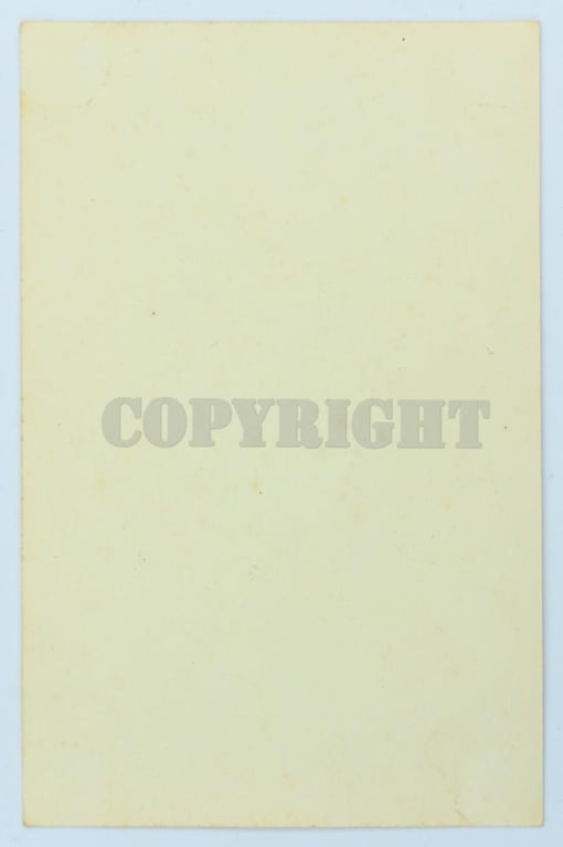 German NSDAP Postcard Generalkommissar 'Fritz Schmidt'