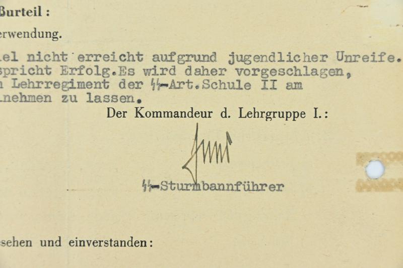 German Waffen-SS Personal Research File 'SS-Sturmmann Alfred Dreilich'