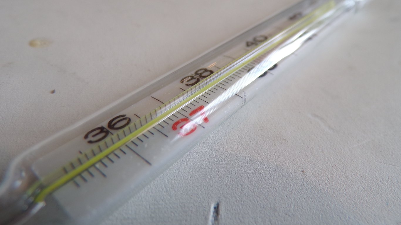 Wehrmacht Medical Fever Thermometer