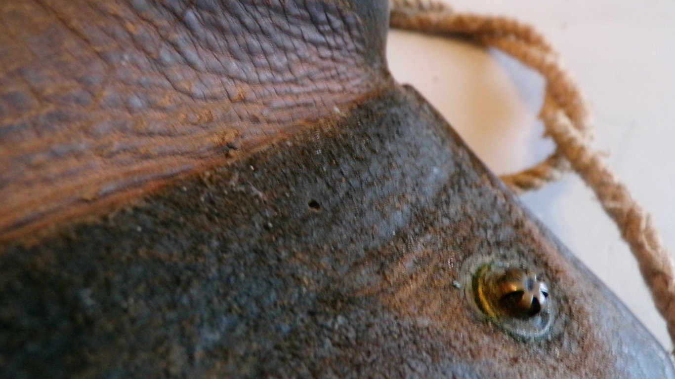 Erkennungsmarken Tasche