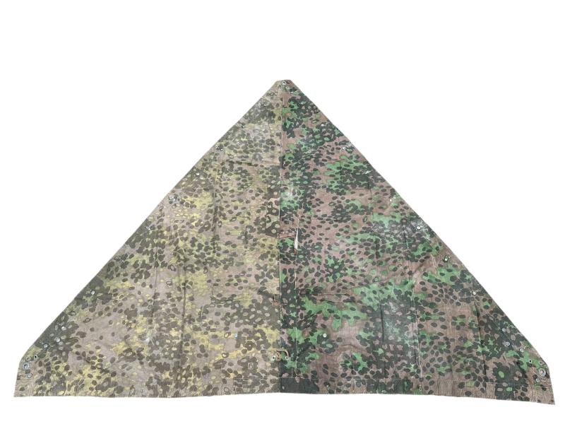 W-SS Plane Tree 6/6 Shelter Quarter