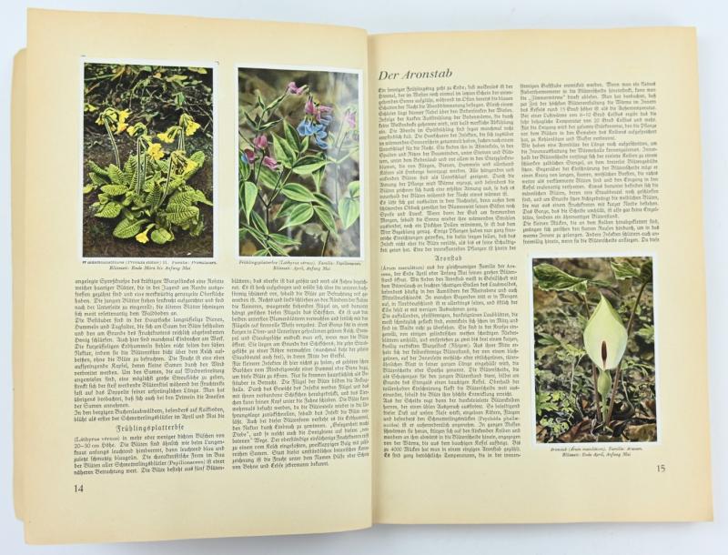 German Third Reich CigaretAlbum 'Aus Wald und Flur'