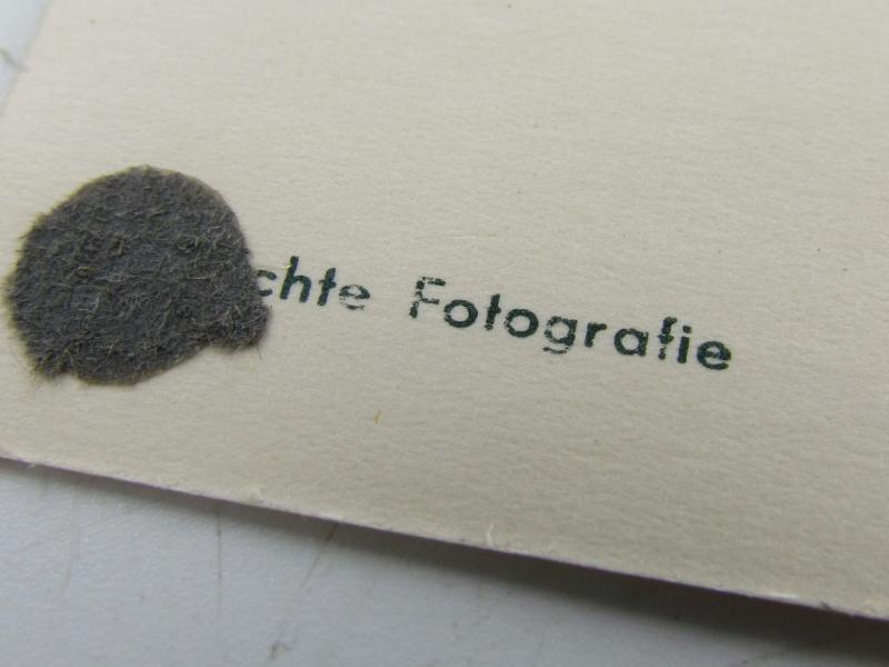 Luftwaffe Airgunner With MG15 Photo