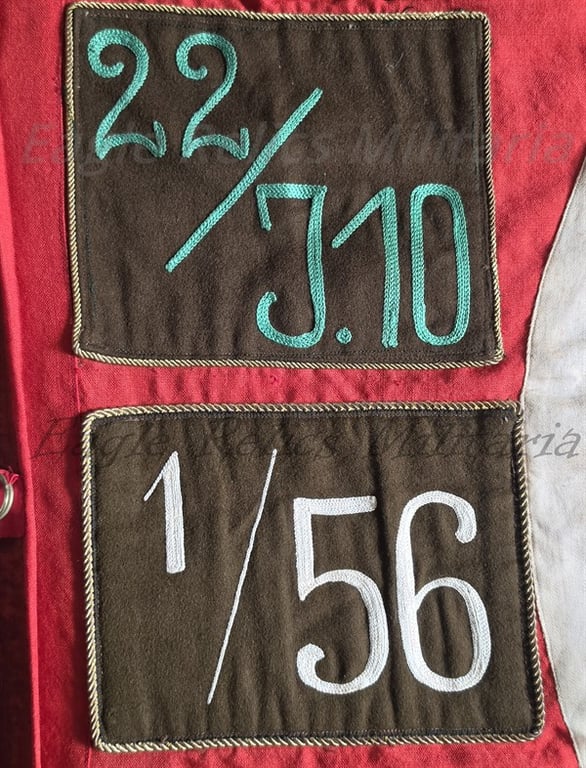 SA Sturm Flag 5 patches complete with Pole & Topper A Very Early Flag