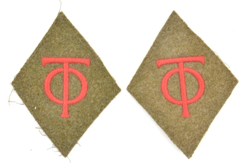 German Organisation Todt Rank Collar tabs