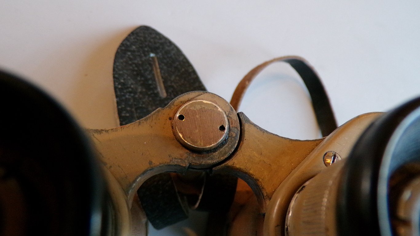 Heer/LW/SS 6 x 30 binoculars by DDX