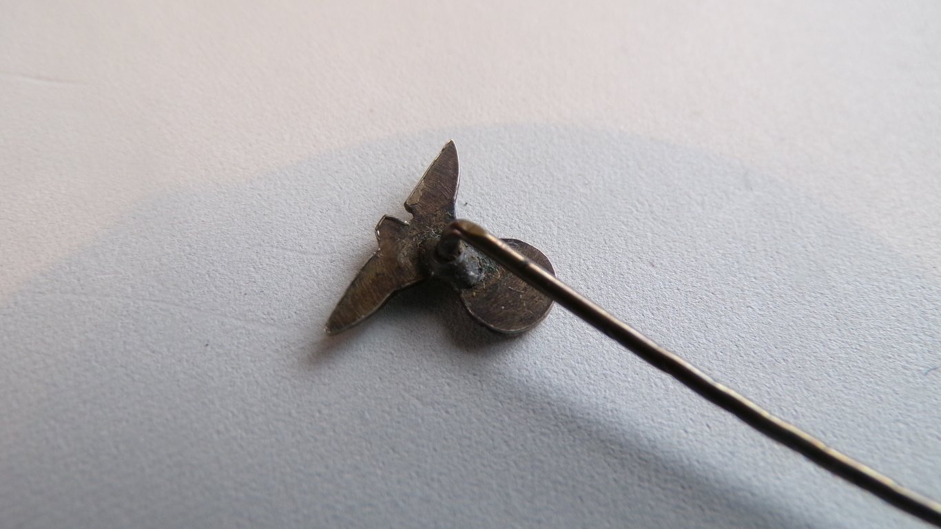 N.S.D.A.P membership pin