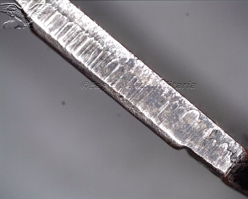 1929 ReichPartie day Non Portable Award