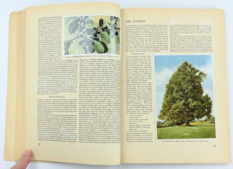 German Third Reich CigaretAlbum 'Aus Wald und Flur'