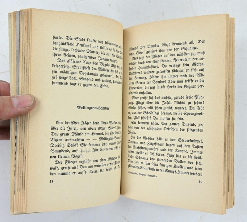 German Book 'Fliegende Grenadiere'