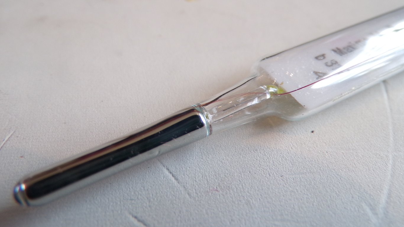 Wehrmacht Medical Fever Thermometer