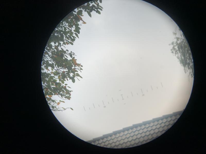 Wehrmacht Binoculars 'Dienstglas' 6x30 -DDX-