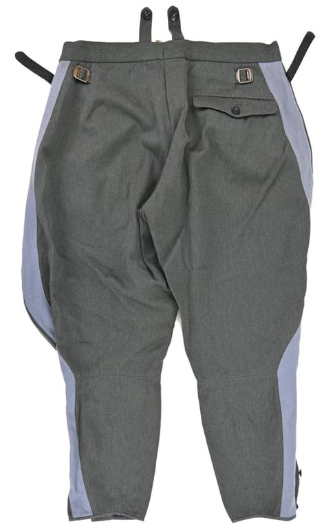 German Waffen-SS General Breeches