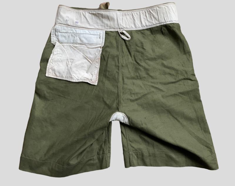 German WWII Tropical Shorts