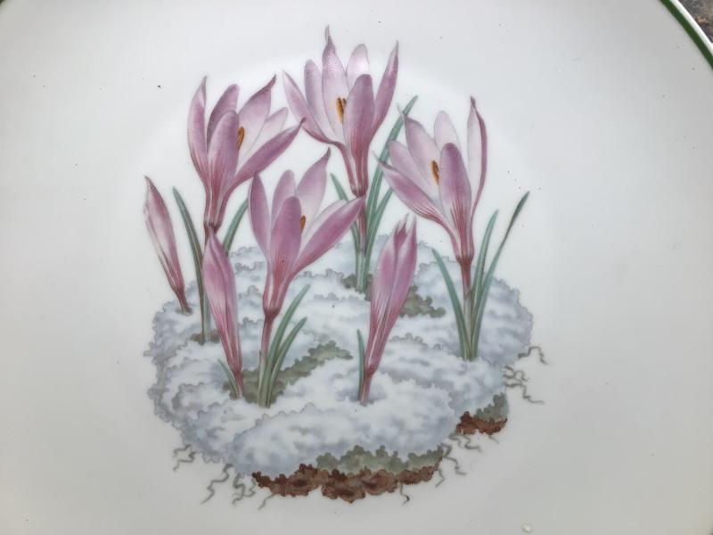 Allach Produced  Oswald Pohl Weinacht Plate