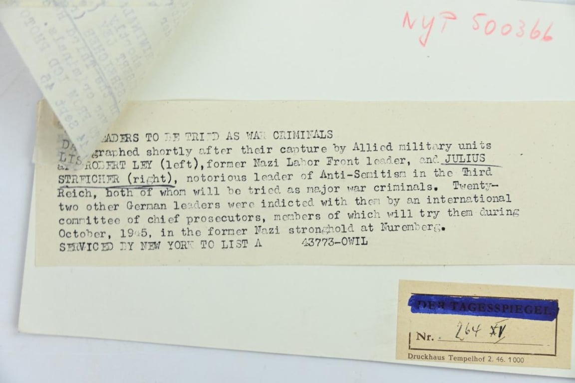 Allied Press 'Mug-Shot' Picture of Nuremberg Trail Members
