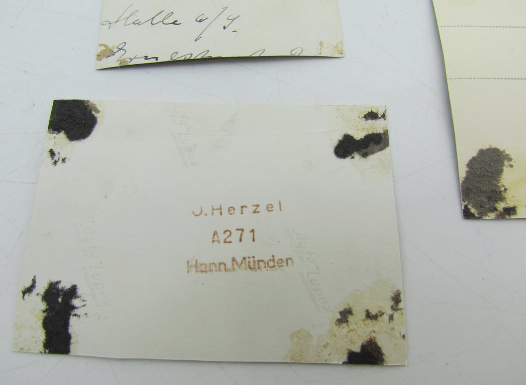 German Forestry Official – Personal Photograph Grouping