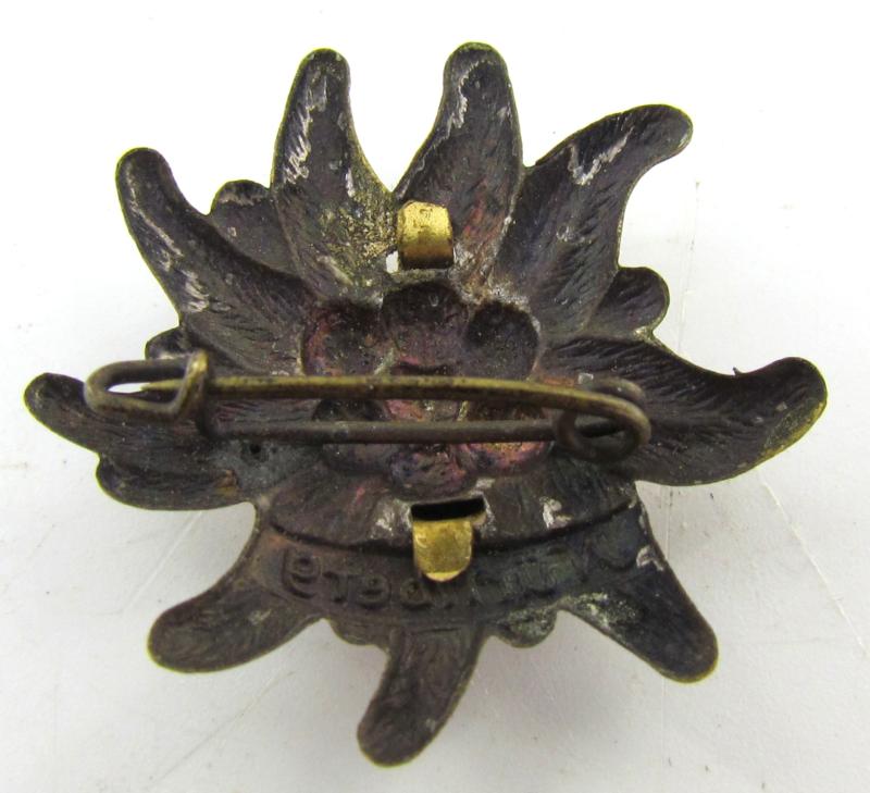 Wehrmacht Gebirgsjäger Nürnberg edelweiss Tinnie
