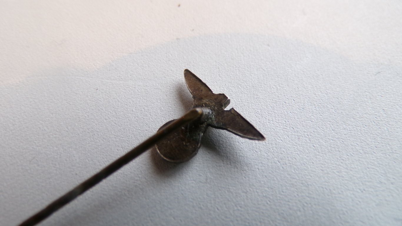 N.S.D.A.P membership pin