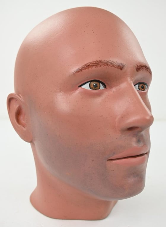 Painted Male Mannequin Head