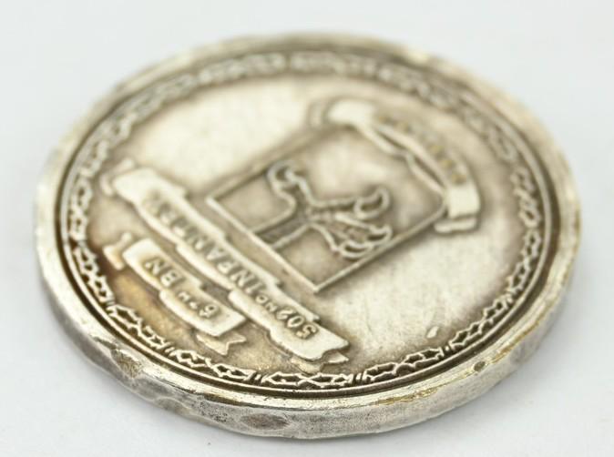 US WW2 Challange Coin 6th Battalion 502nd Infantry.