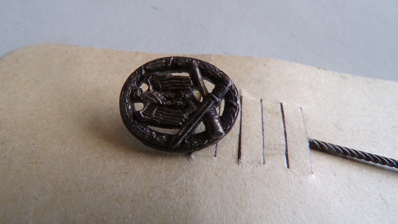 Allgemeines Sturmabzeichen stickpin