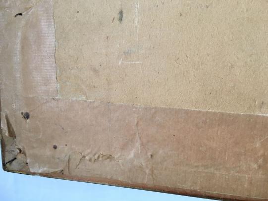 Waffen-SS Portrait Photograph