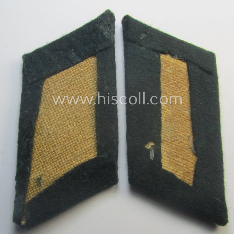 Pair of WH (Heeres) officers'-pattern collar-tabs (ie. 'Kragenspiegel für Offiziere'): 'Panzer-Grenadier-Truppen'