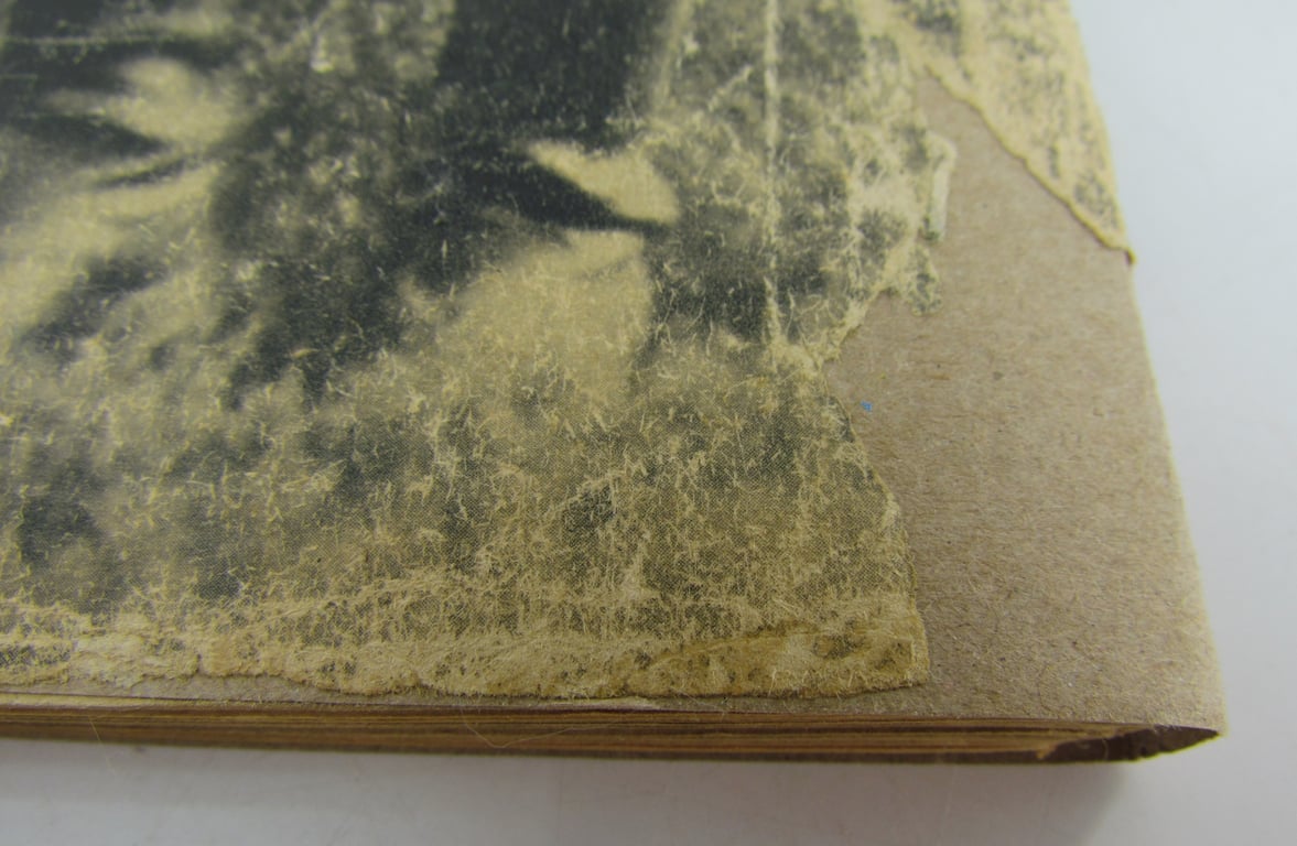 Original Waffen-SS im Westen Photobook (1941)