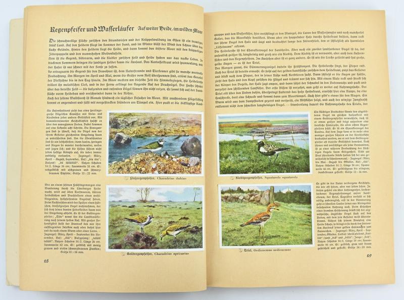 German Third Reich CigaretAlbum 'Aus Deutschlands Vogelwelt'