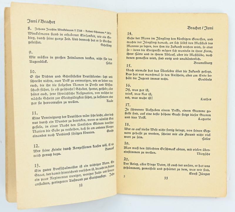 German Book 'Ich Dien, Des Jugen Deutsche Tagesbuch'