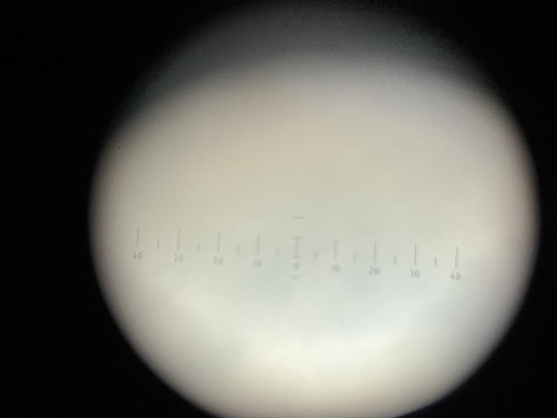 German WWII Binoculars in Case