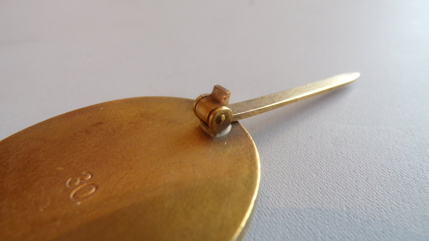 Verwundetenabzeichen in Gold