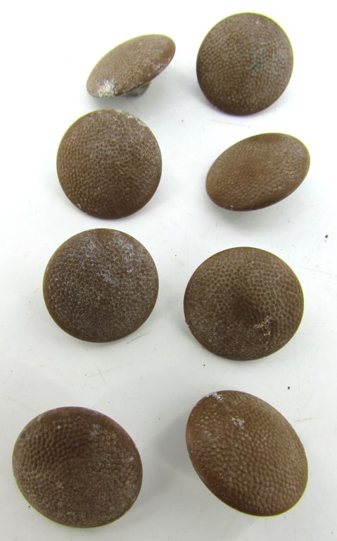 8x Wehrmacht 18 mm Tropical Uniform Buttons