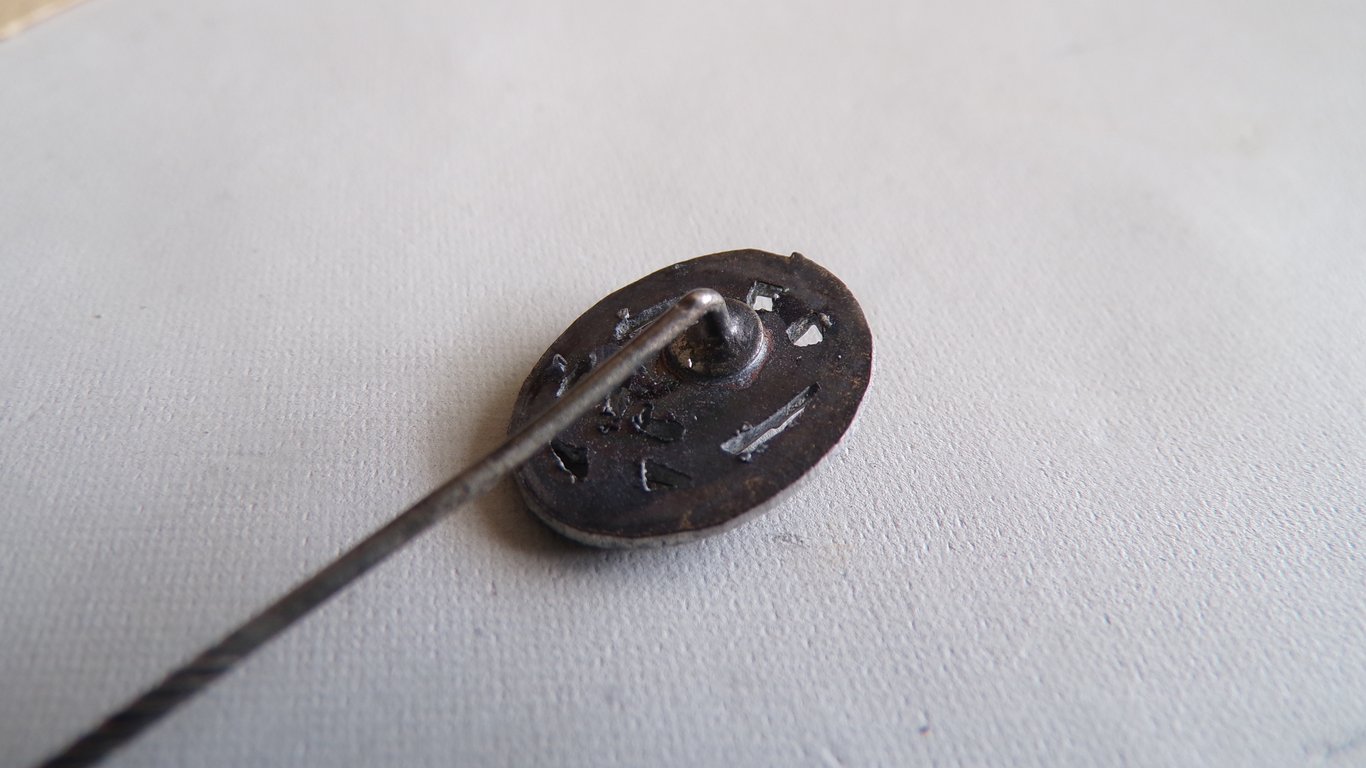 Allgemeines Sturmabzeichen stickpin