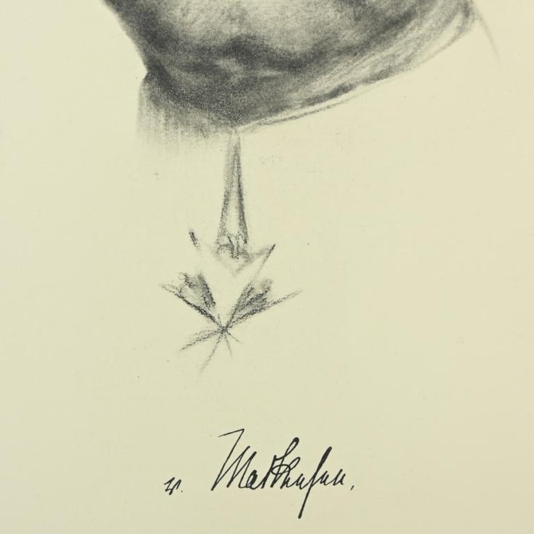 German Portrait Print/Litho of August von Mackensen by K.J.Böhringer