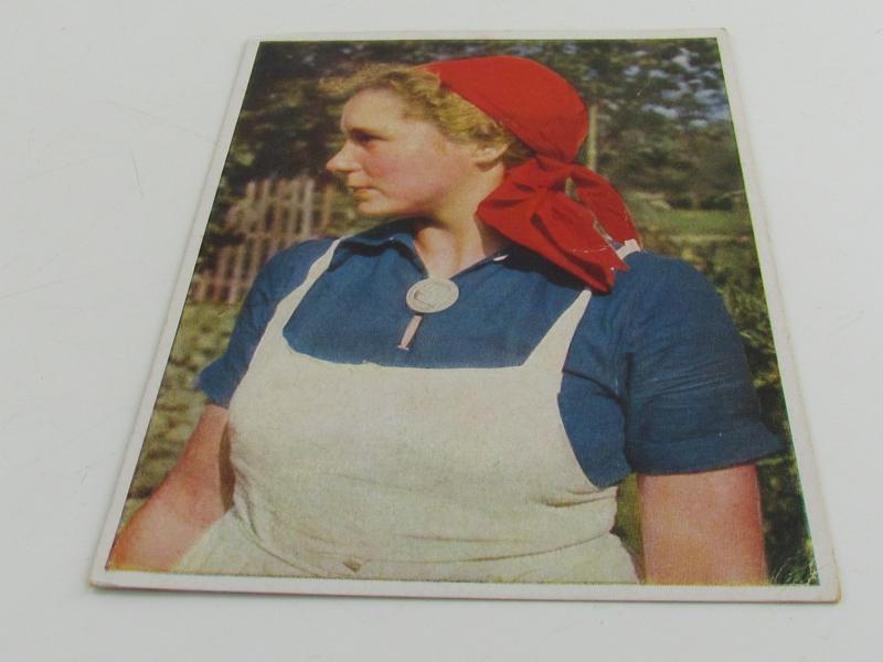 Postcard : Reichsarbeitsdienst (Reich Labour Service), Young Woman