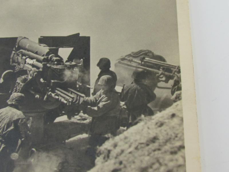 Postcard : Unsere Waffen-SS