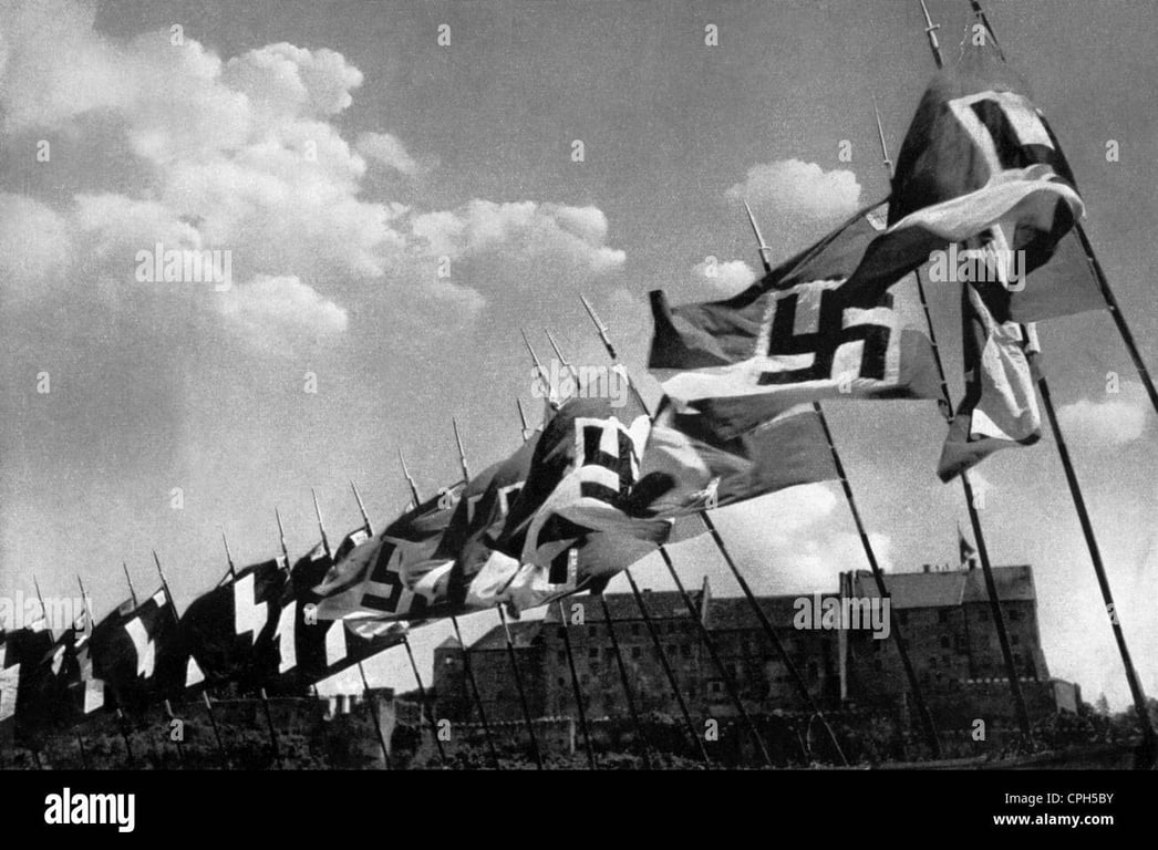 Fully matching Hitler Youth parade flag part 3