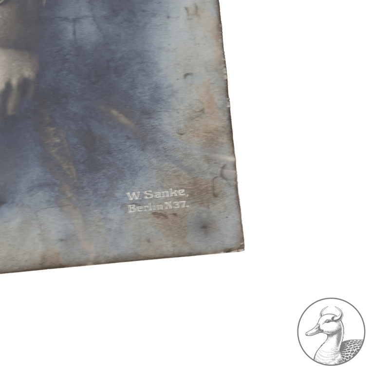 Fotografie Oswald Boelcke + Postkarte Boelcke und Immelmann 1.WK Pour le Merite