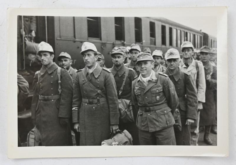 German WH Afrikakorps Picture Set