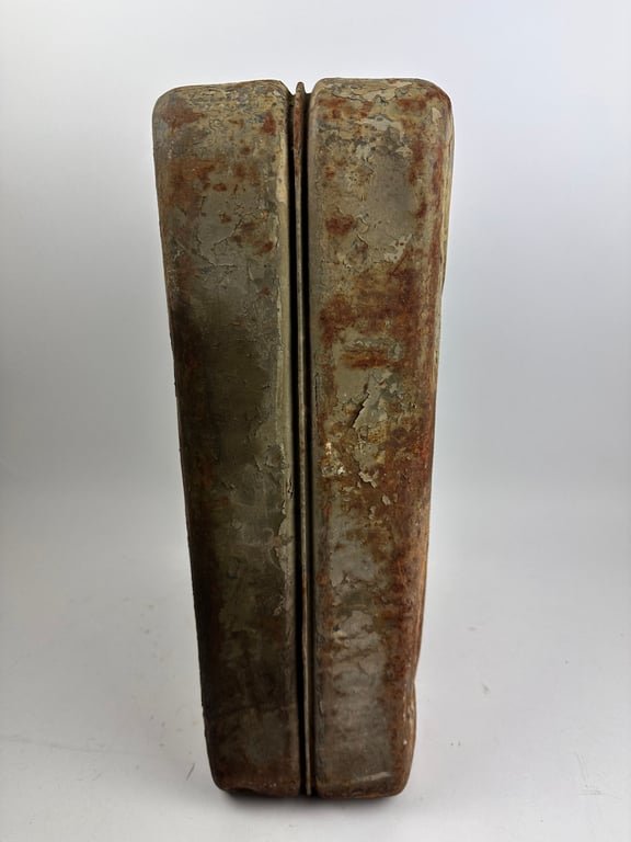 WW2 German ss jerrycan "Sandrik"